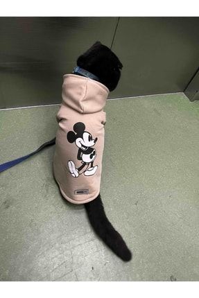 Kapişonlu Sweatshirt Köpek Ve Kedi Kıyafeti - Pudra Renk Mickey Mouse - L Beden swmickey01c