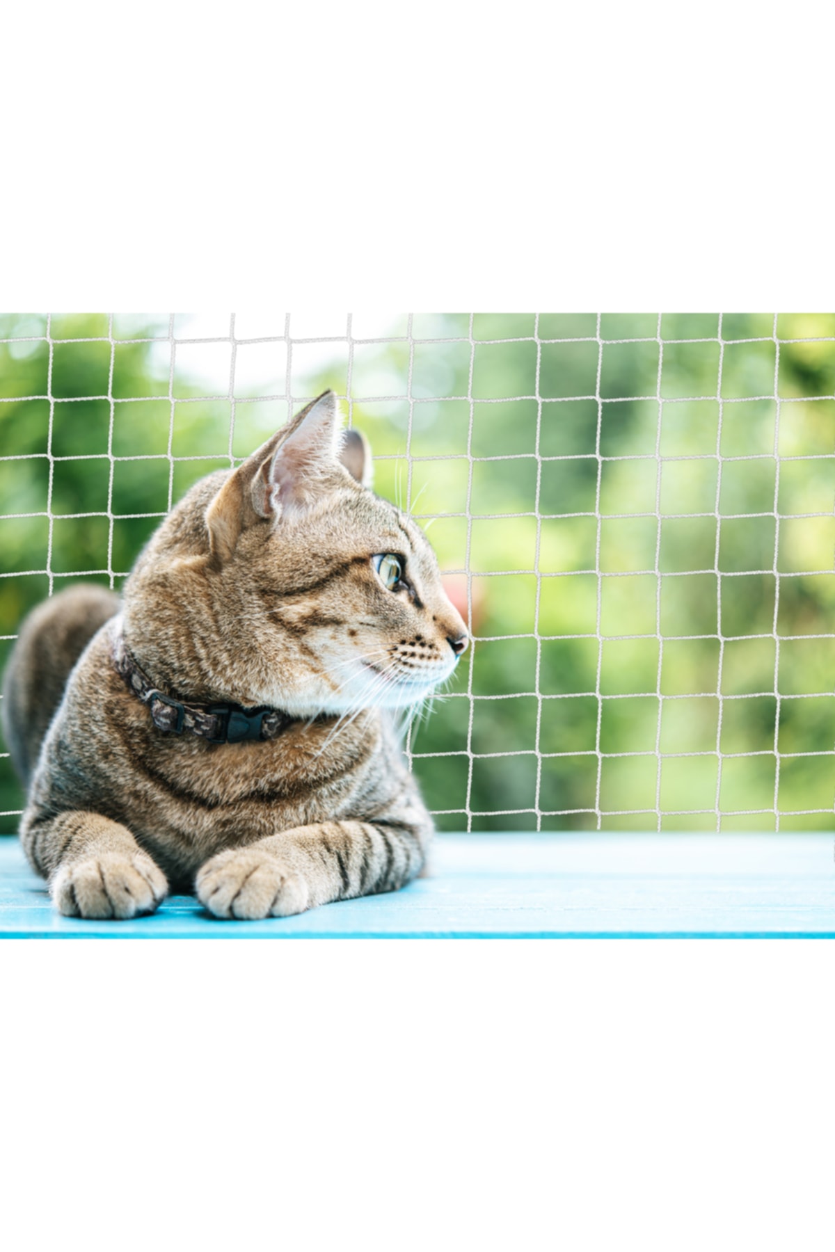 Nodes-45*110cm - Window Net - Cat Net - Balcony Net - White 1