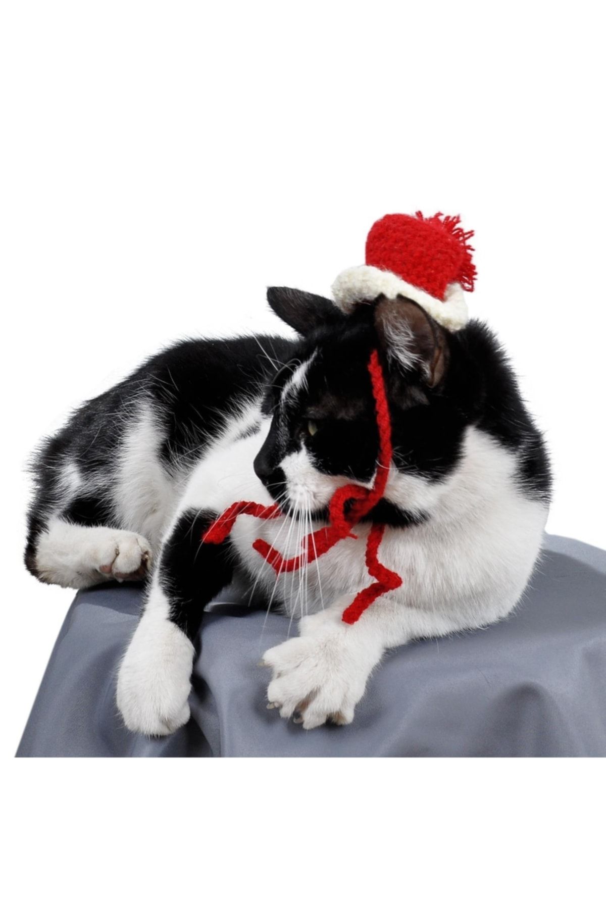 Örme Kedi Şapkası