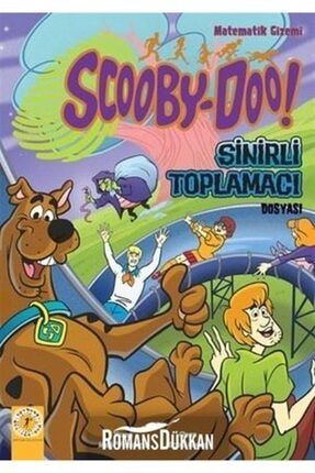 Matematik Gizemi Scooby-doo! Sinirli Toplamacı Dosyası 535435