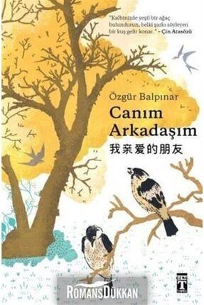 Timas Istanbul Dedektifleri 4 Kitap Hikaye Seti Timas Cocuk Trendyol