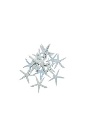 Polyester Deniz Yıldızı Simli Beyaz 6 Cm (12 Adet) TE7419