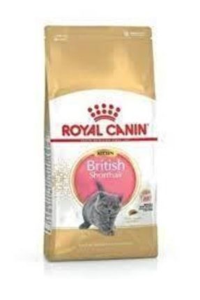 British Shorthair Kitten Yavru Kedi Maması 2 Kg TYC00375089980