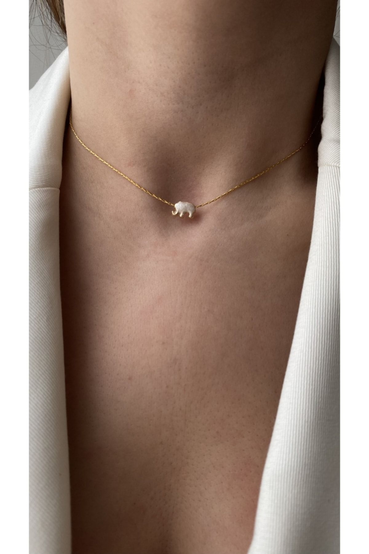 Small shop gold choker