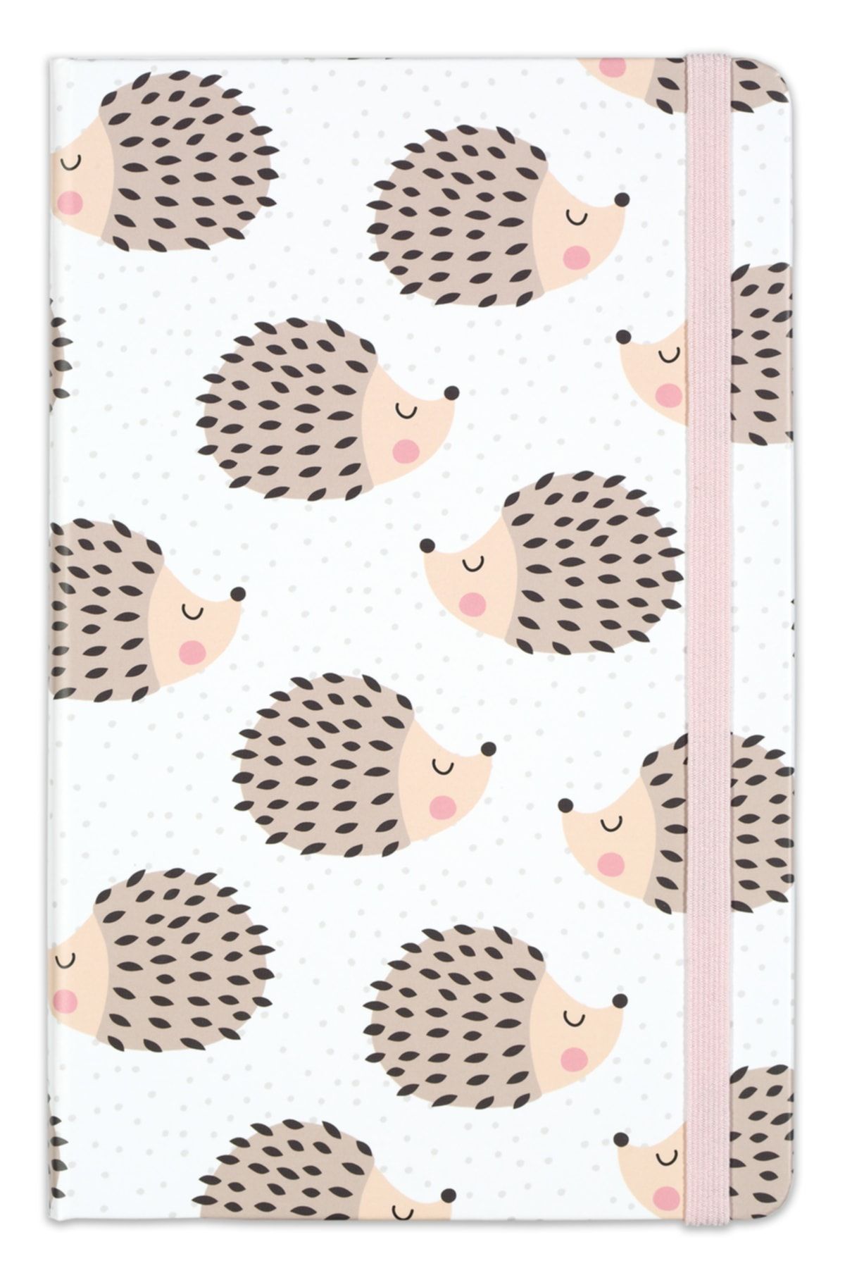Matt Notebook-Set of 2 Notebooks Elastic Lined 13x21 cm 7