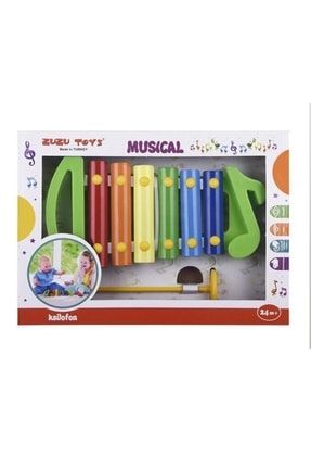 Toys Baby Ksilofon Çocuk Müzik Aleti TYC00380520034