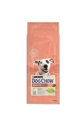 Dog Chow Sensitive Somonlu Yetişkin Köpek Maması 14 Kg 563496549