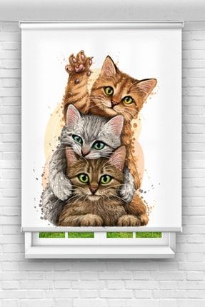 Sevimli Kediler Desenli - Çocuk Odası Perdesi - Baskılı Stor Perde STR-98S