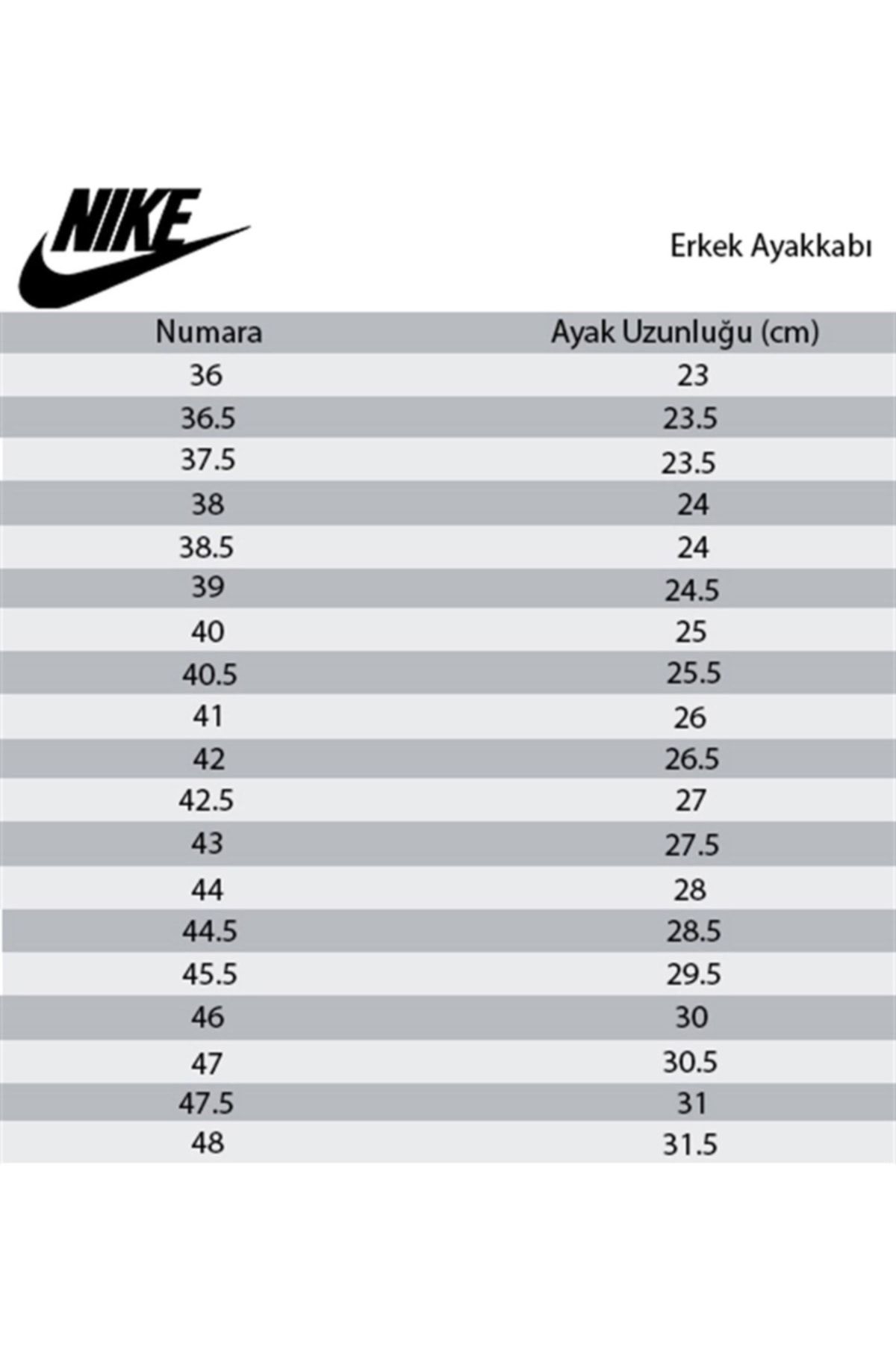 Nike Nike Bq3204 001 Revolution 5 Men s Running Sports Shoes Black