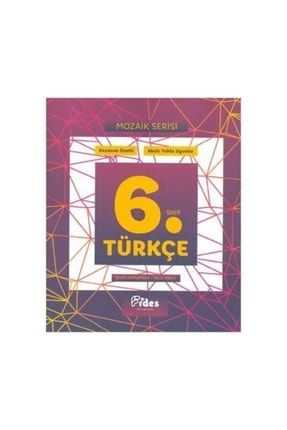 Fides 6.sınıf Türkçe Mozaik Serisi Kazanım Özetli Soru Bankası ST65222