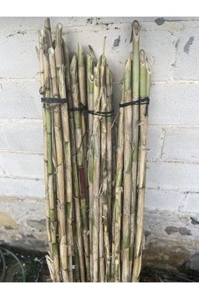 10 Adet Bambu Bitki Destek Çubuğu 150 Cm (ÇOK KALIN VE DAYANIKLI) 301