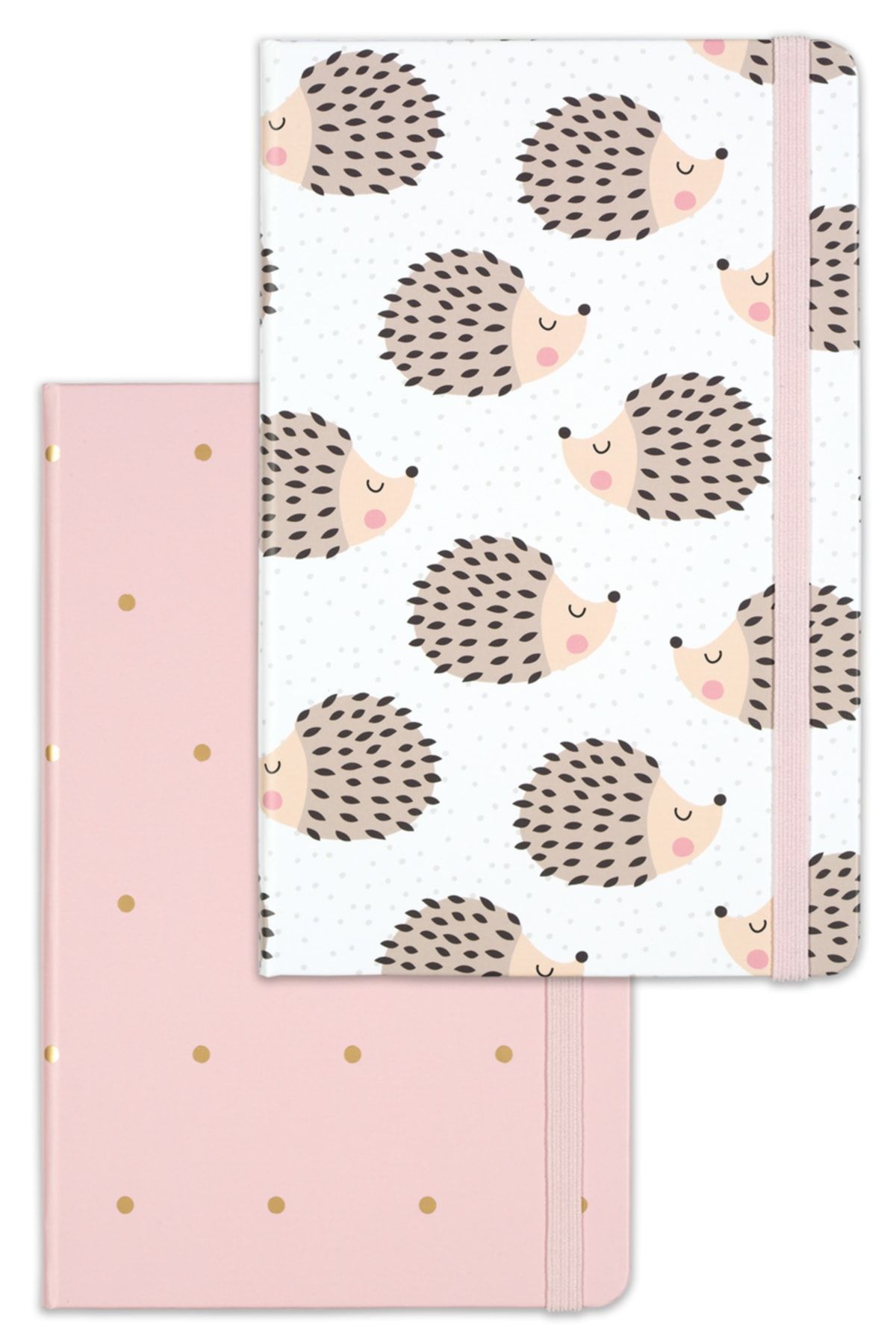 Matt Notebook-Set of 2 Notebooks Elastic Lined 13x21 cm 5