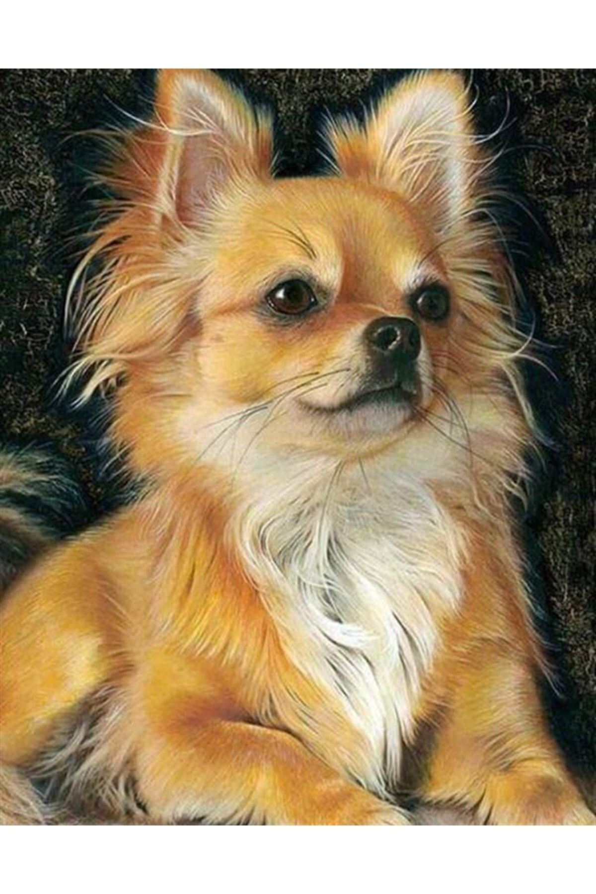 Movas Sanat Sevimli Tüylü Köpek Diamond Painting 40x50cm E20203407