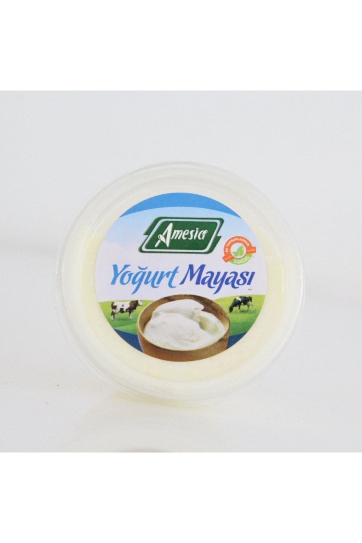 Amesia Yoğurt Mayası 50 G.