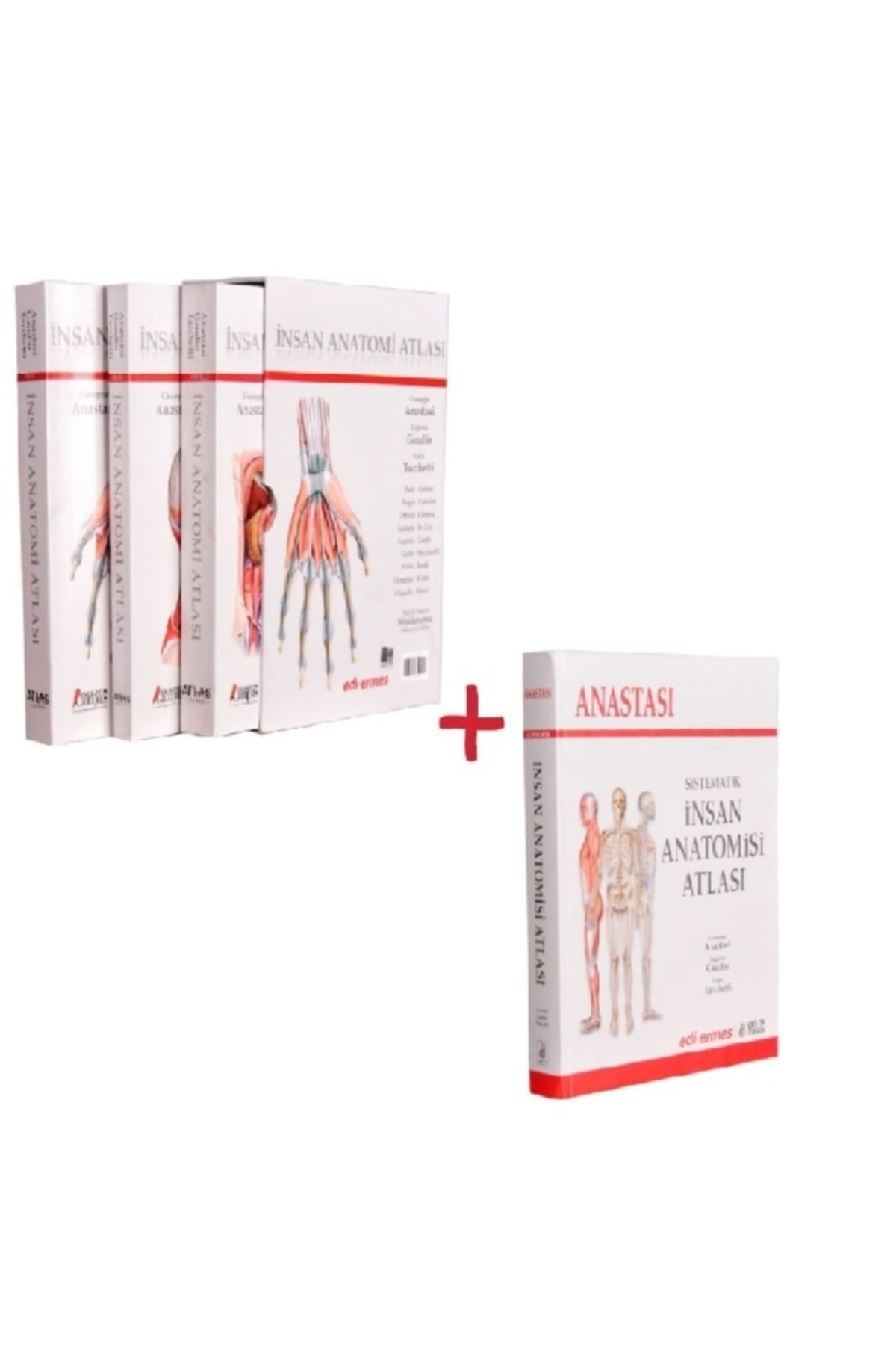 Nobel Tıp Kitabevleri Anatomi Atlası 3 Cilt Tek Cilt Anastasi Interaktif Erişim