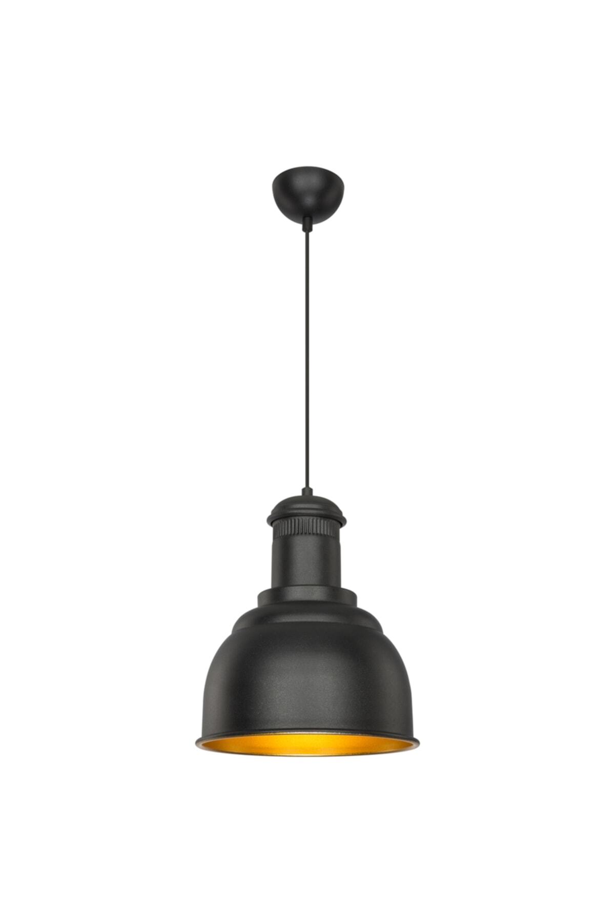 Tuğbasan-Black Powerhouse Pendant Lamp 2
