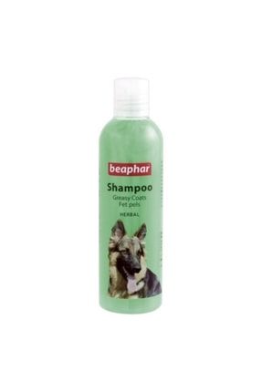 Herbal Yağlı Ciltler Için Bitkisel Köpek Şampuanı 250 Ml P5442S7982