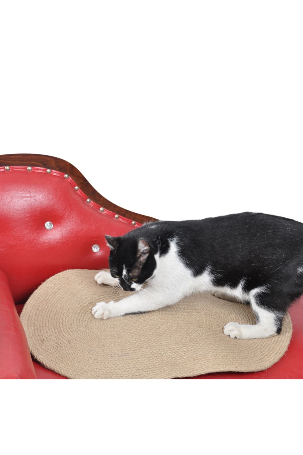 Kedi Tırmalama Halısı