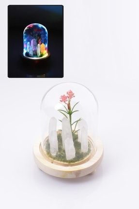 Kristal Kuvars Doğal Taş Dekoratif Cam Fanus Işıklı DT-0766