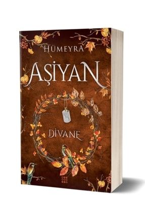 Aşiyan 2 - Divane 9786257642651