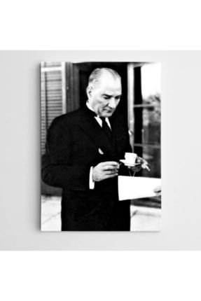 Atatürk Resmi- 0105
