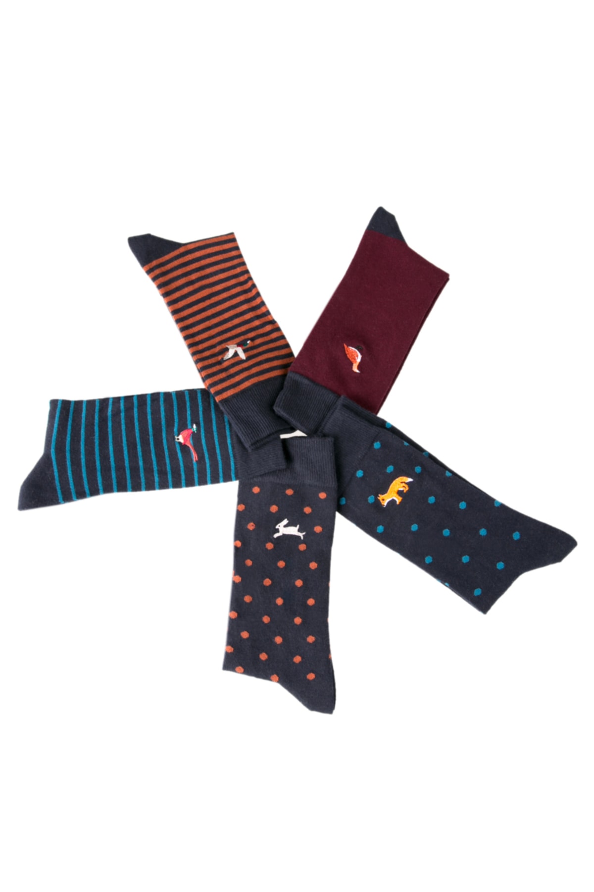 Cozzy Socks Hayvan Nakışlı 5'li Erkek Soket Çorap Kutulu