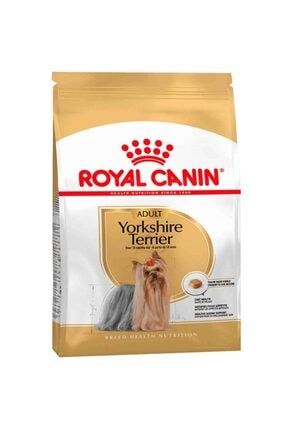 Yorkshire Terrier 1,5 Kg TX89D7C5177858