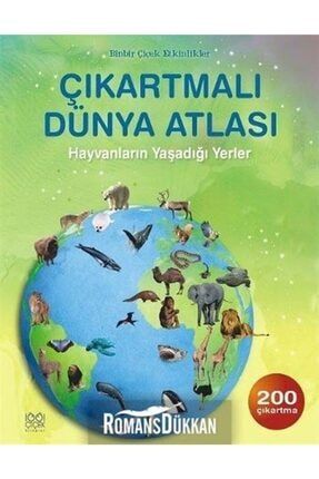 1001 Cicek Kitaplar Erkek Cocuklar Icin Etkinlik Kitabi Trendyol