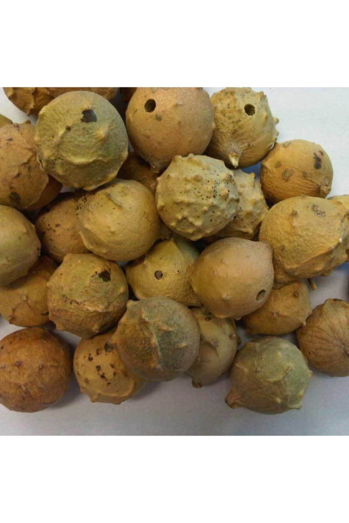 سایر ادویه ها acaktar thuja من 1 کیلوگرم است Benim Aktar
