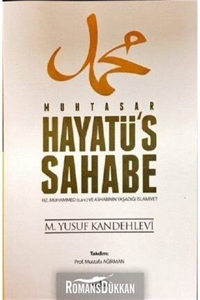 Muhtasar Hayatü's Sahabe (2. Hamur) 437700