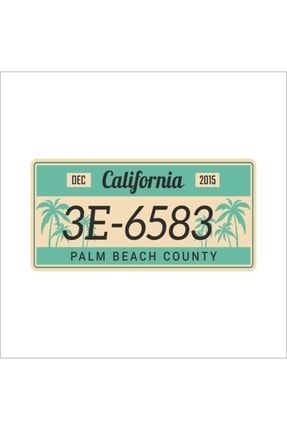 Dekoratif Amerikan Tip California Palm Beach Baskılı Duvar Plaka DH19284