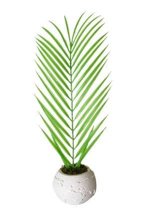 Dünya Beton Saksı Da Açık Yeşil Palmiye Yaprağı Tek Dal 40cm 695444