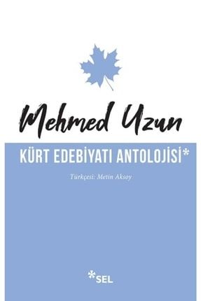 Kürt Edebiyatı Antolojisi ays2-9786257370295