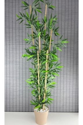 Yapay Yapraklı Dekoratif Bambu Ağacı 6 Gövde DEKOR1