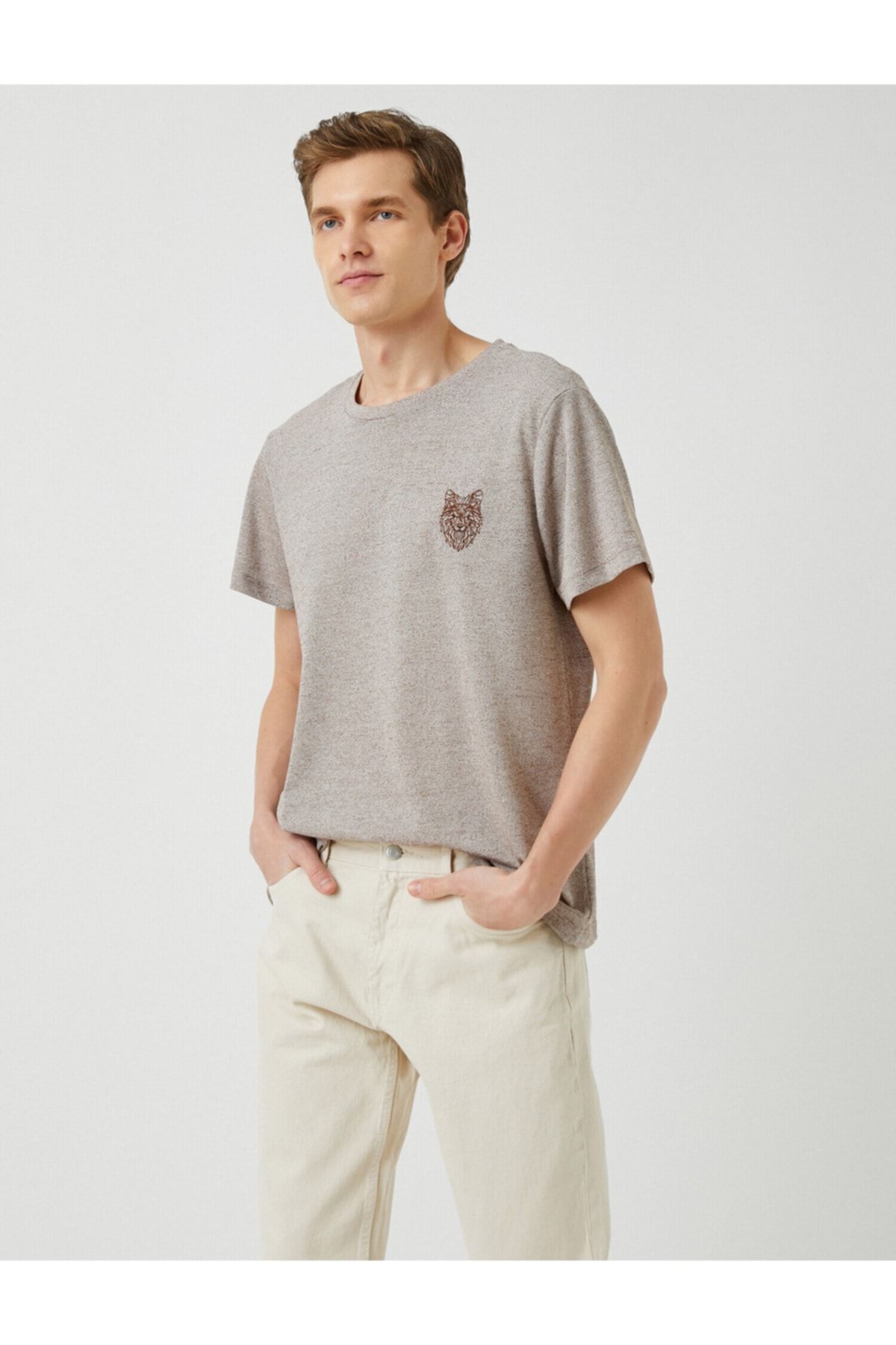 Hollister tiger t shirt 2025