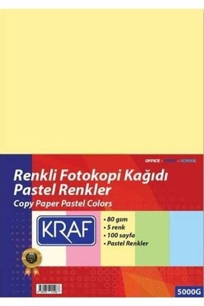 Renkli Fotokopi Kağıdı Pastel 5 Renk 100 Lük MEKRFK5000