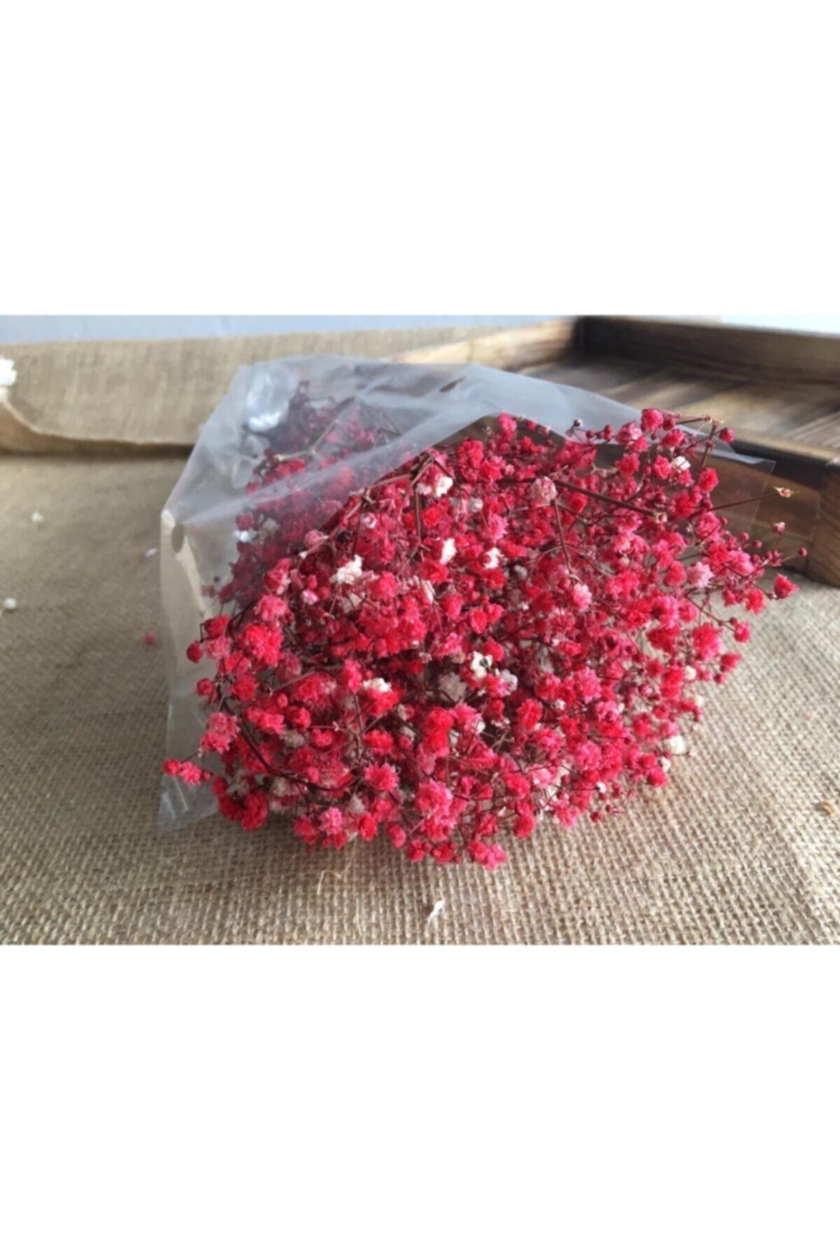 fleur rouge sèche cipso naturel séché