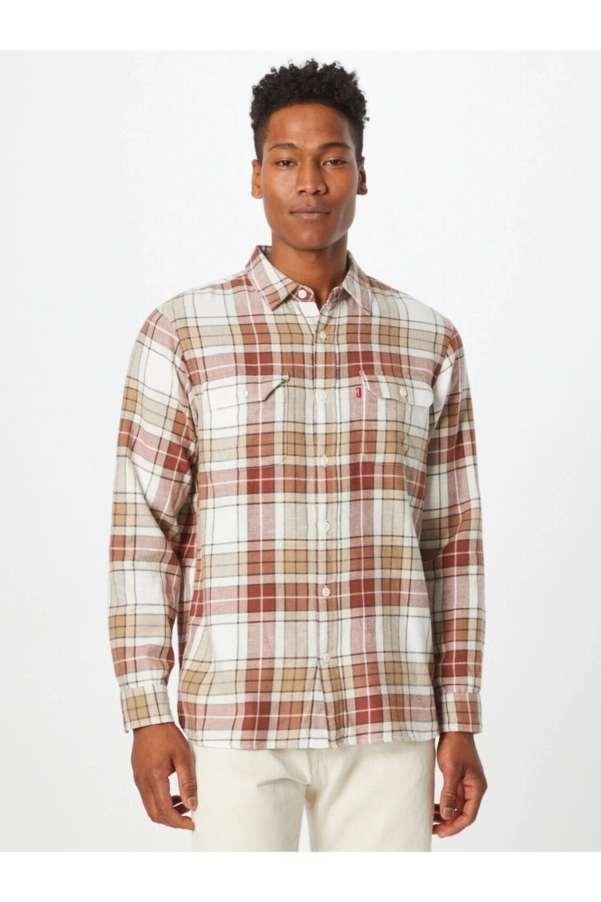 پیراهن لیوایز مردانه پارچه رنگارنگ  راسته Regular/رگولار    بیسیک Daily/روزانه | Levi's TYC00390749142 SI - تصویر 3