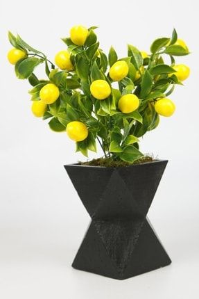 Siyah Beton Saksıda Limon Ağacı Yapay Ağaç Vazoda Yapay Bitki SiyahLimon
