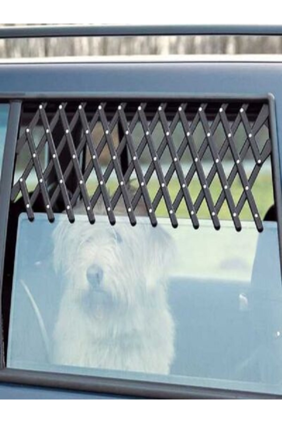 Genel Markalar Tofaş Köpek Izgara, Tofaş Cam Izgarası, Tofaş Cam Rüzgarlık, 1 Adet