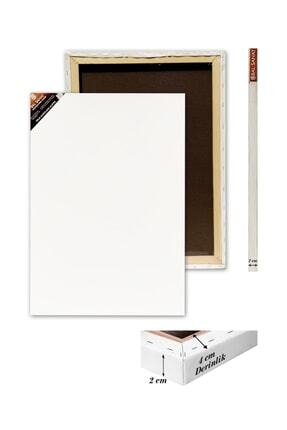 BAL SANAT 50x70 Profesyonel Tuval Arkadan Zımbalı