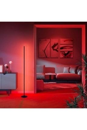 Dekoratif Oda Aydınlatma, Modern Led, Lambader, Rgb Çok Renkli Kumandalı 150cm RGB-150