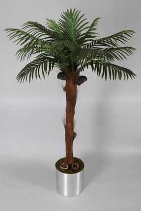 Çelik Saksıda Palmiye Ağacı 180 Cm 14 Yapraklı YPCCK-FKYT-1093