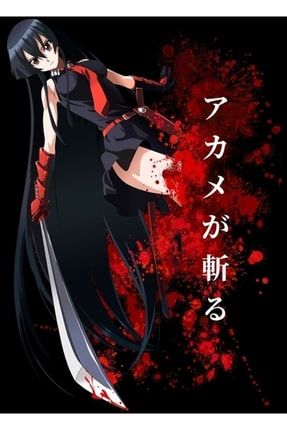Akame Ga Kill Tablo Ahşap Poster Dekoratif f8f8f8(4445)anime