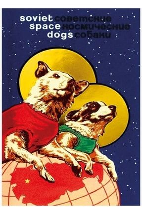 Laika - Uzay Gezgini Köpek Sovyet Uzay Sanatı Sscb Tasarımı Tablo Ahşap Poster Dekoratif f8f8f8(2489)gezi