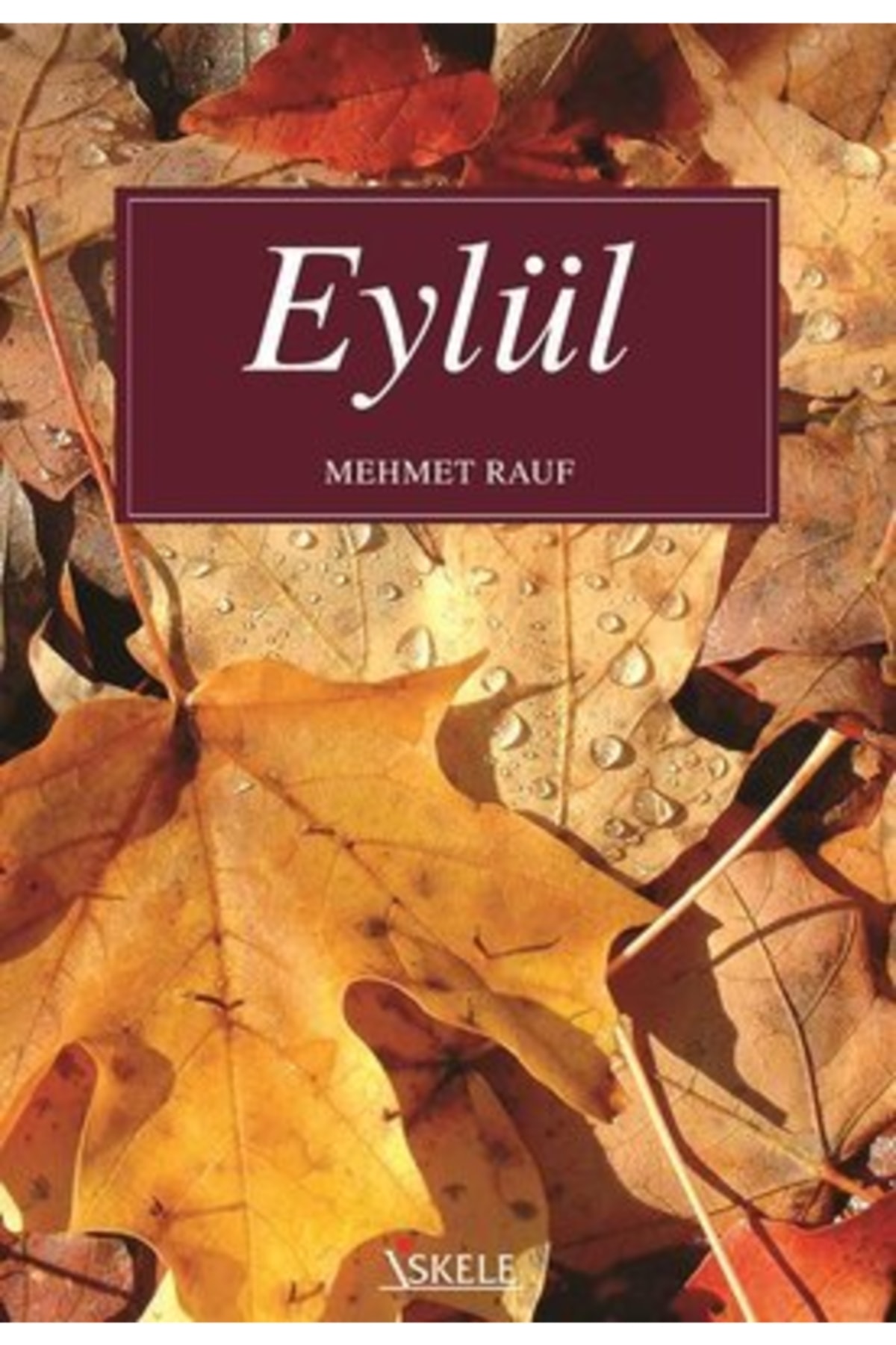 Eylül Iskele Yayıncılık Mehmet Rauf