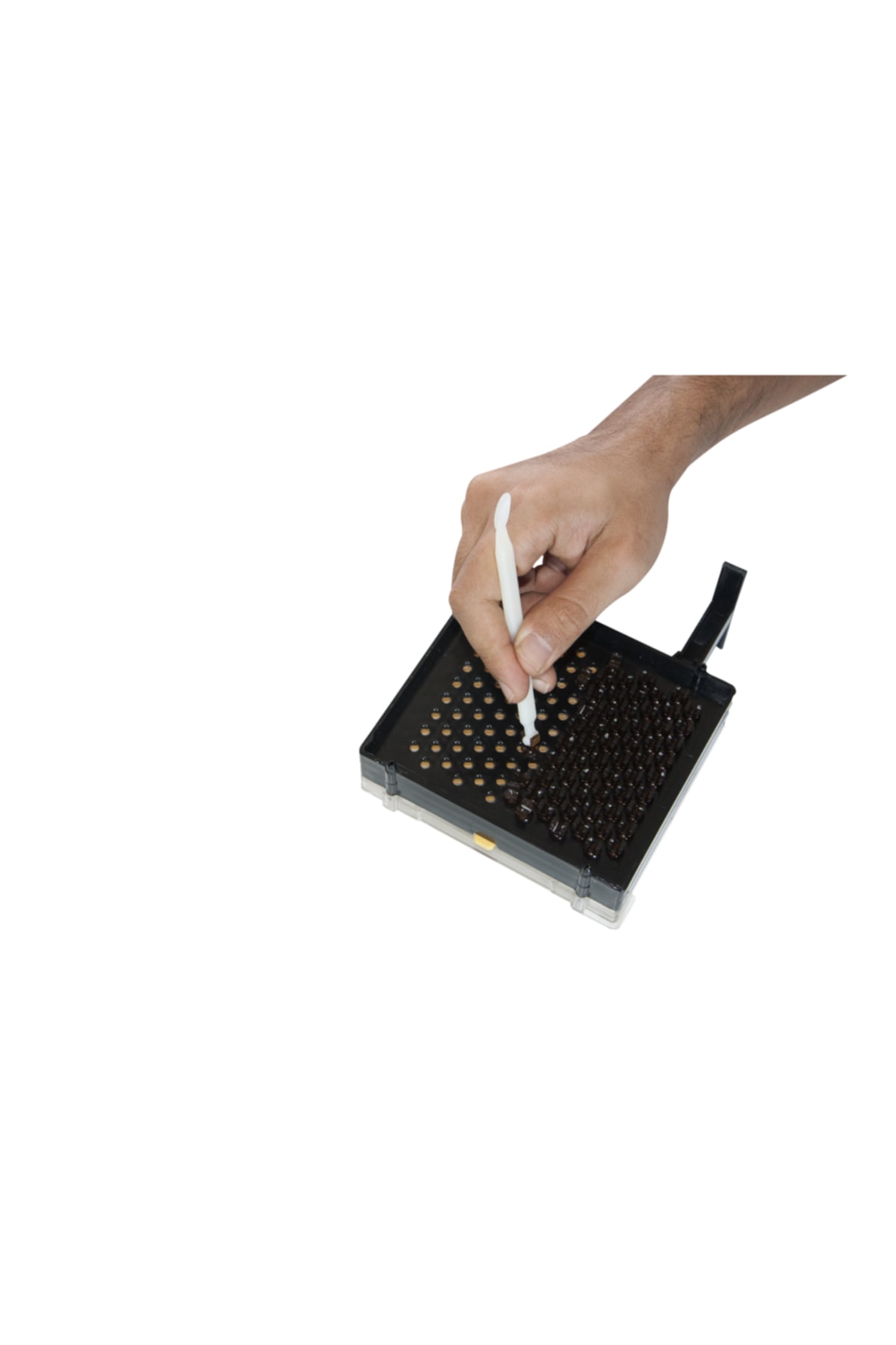 piranha 2 yumurtlama