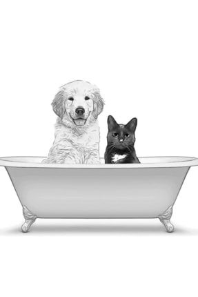 Köpek, Kedi, Evcil Hayvan, Banyo Sanatı, Banyo Duvar Sanatı Ahşap Poster f8f8f8(2873)Hayvanlar