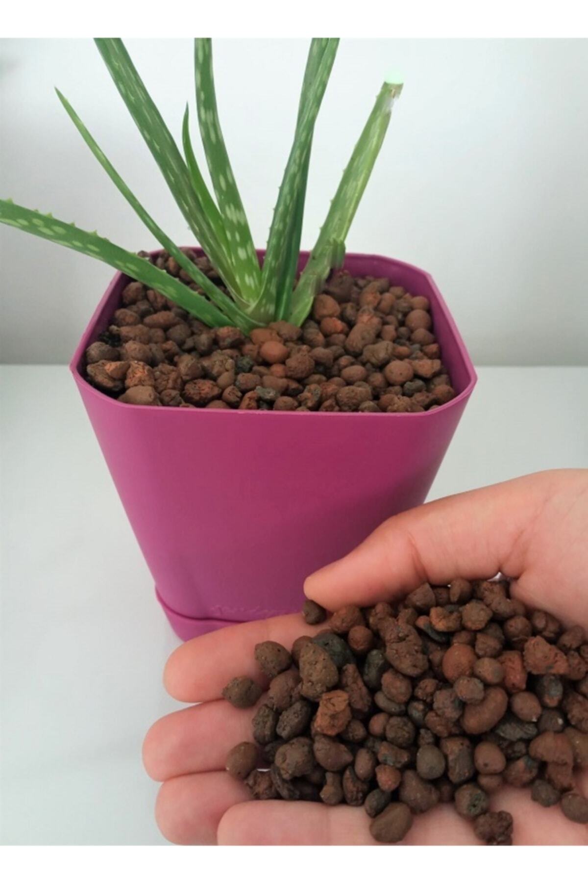 Kil Bilyesi 2 Lt 3-8 Mm Hidroponik Kil Bilyesi Lecat Orkide Kil Bilyesi Bitki Yetiştirme Ortamı 4