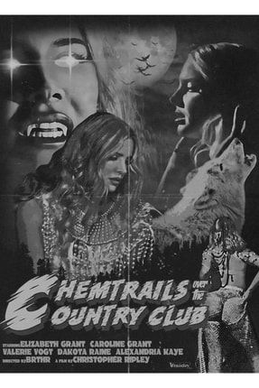 Chemtrails Over The Country Club Posteri - Lana Del Rey Tablo Ahşap Poster Dekoratif f8f8f8(1013)MUS